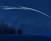 Das Symbolbild ist ein weihnachtliches Bild mit Polarstern.