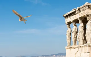 Das Foto von Athen mit der Eule dient als Symbolbild für den Transport des Monats November 2022 der KDE Transport GmbH.