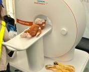 Die Aufnahme zeigt einen Mini-Tomographen, den die Siemens Healthineers für eine Aktion gebaut hat.